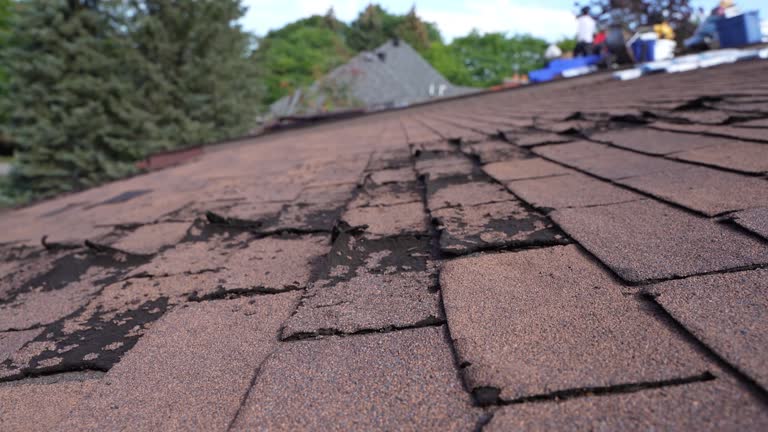 Fast & Reliable Emergency Roof Repairs in New Market, TN